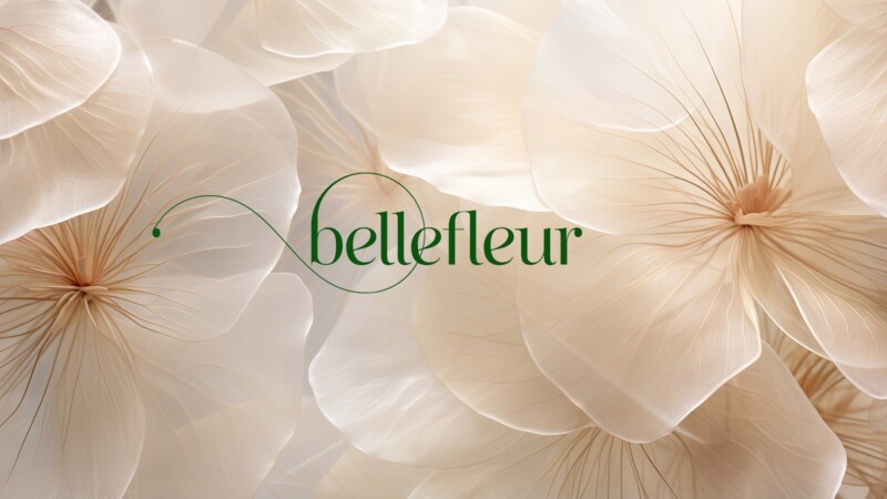Bellefleur concepts 27
