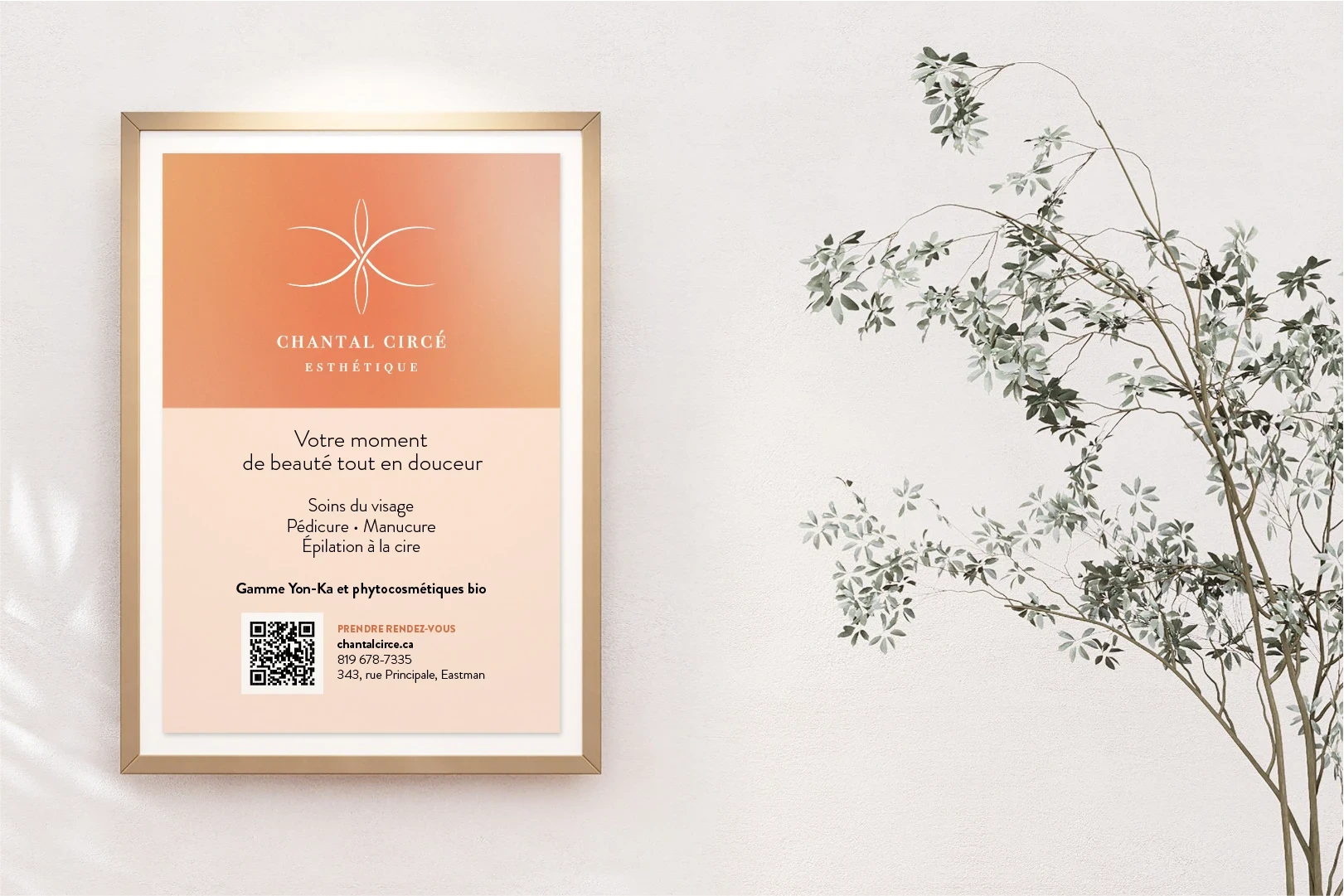 Montage c Circe carton